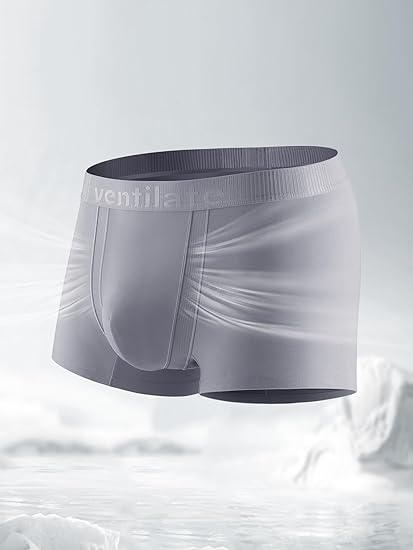 Boxer Briefs Quick Dry Trunks Breathable U-Pouch Underpants