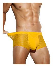 Men's Sexy Breathable Mesh Boxer Briefs Trunks with Open Fly Pouch