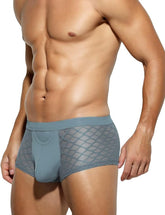 Arjen Kroos - Men's Sexy Breathable Mesh Boxer Briefs - Arjen Kroos - Gray - CK211603S