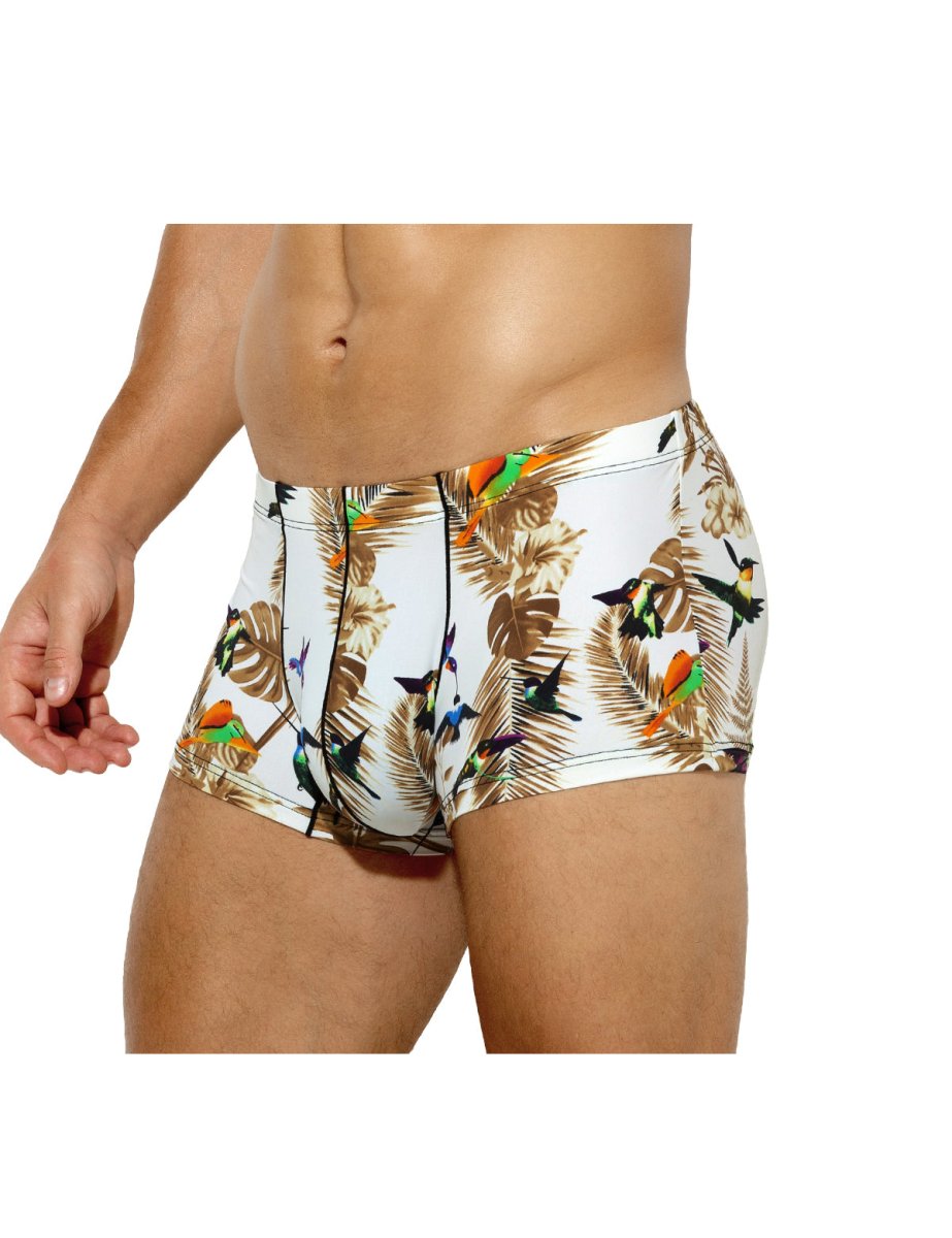 Arjen Kroos - Sexy Underwear for Men Silky Printed - Arjen Kroos - Hummingbird - AK302111S